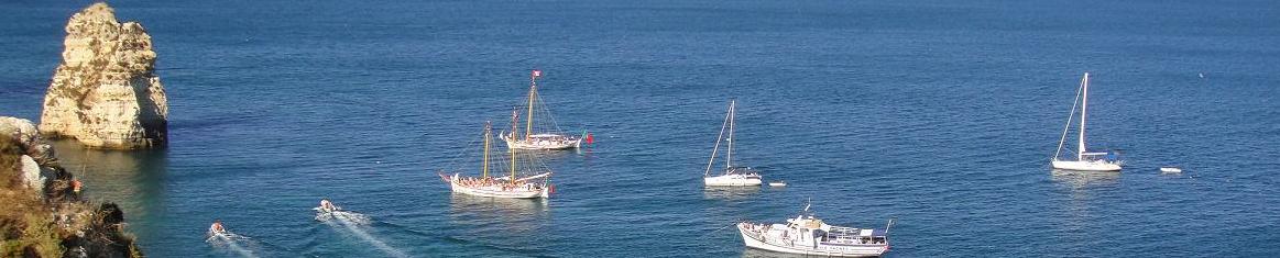 banner rotativo - barcos de lagos